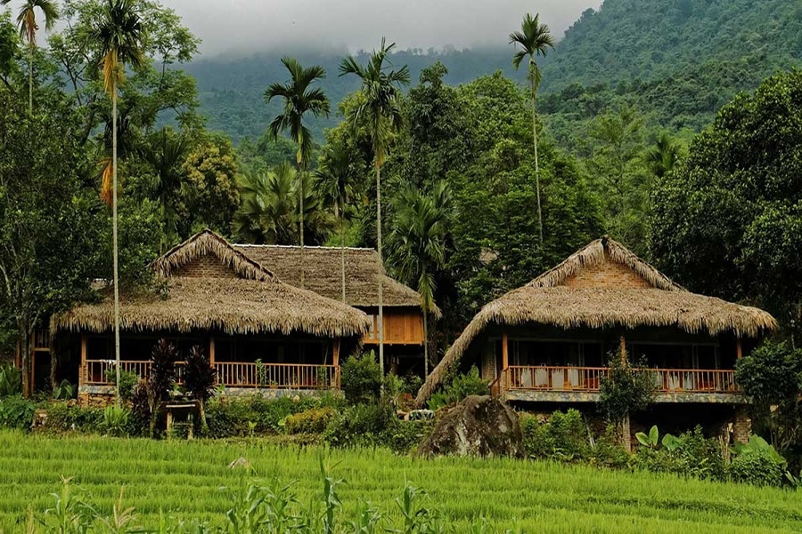 Du lịch Pù Luông – Khám phá thiên đường xanh giữa đại ngàn Thanh Hóa