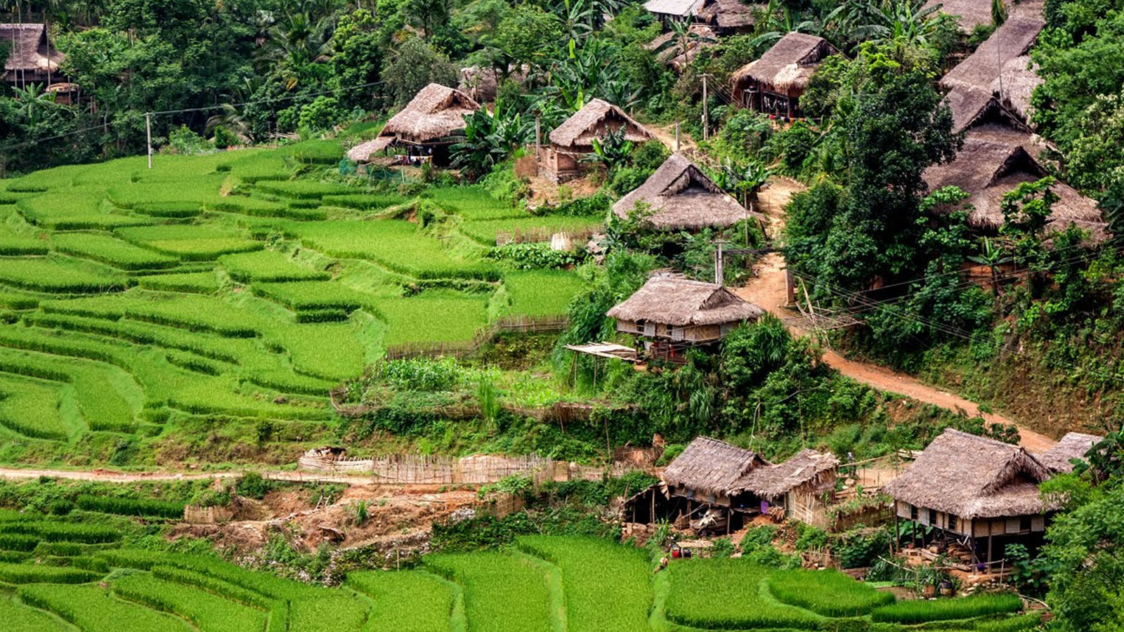 Du lịch Pù Luông – Khám phá thiên đường xanh giữa đại ngàn Thanh Hóa