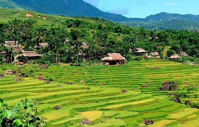 Du lịch Thanh Hóa mùa nào đẹp? Khám phá vẻ cuốn hút của xứ Thanh suốt bốn mùa