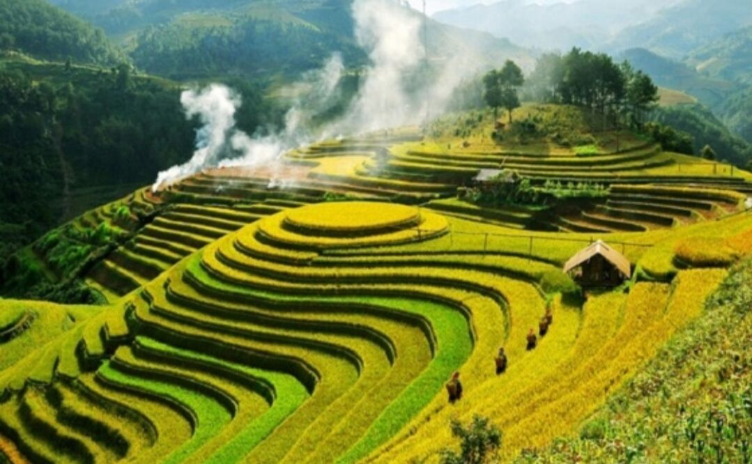 Gợi ý 5 địa điểm cắm trại đẹp ở Thanh Hóa khiến giới trẻ mê mẩn cho chuyến đi cuối tuần đáng nhớ