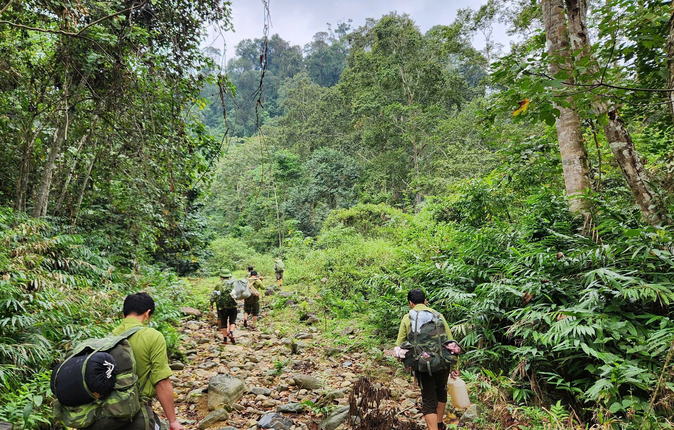 Khám phá 10 Khu Du Lịch Sinh Thái Đẹp Ở Thanh Hóa Gây Thương Nhớ Với Cảnh Sắc Hoang Sơ Và Trải Nghiệm Đậm Chất Núi Rừng