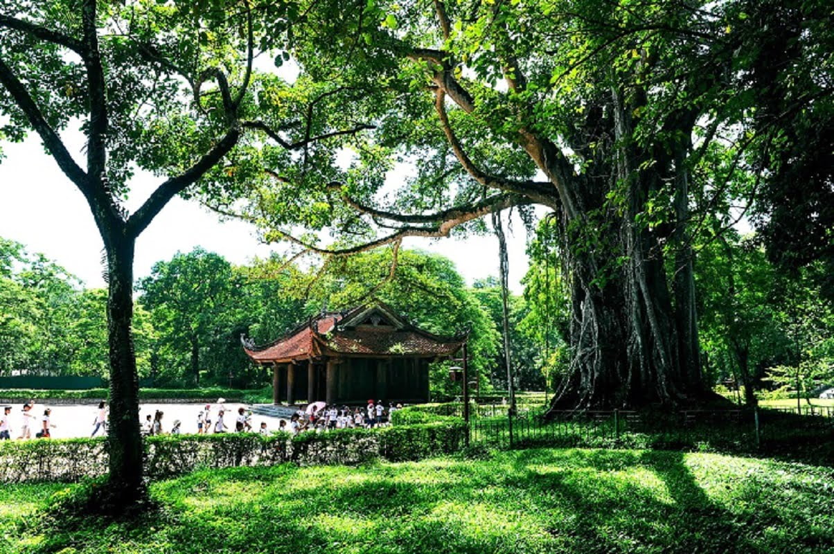 Khám phá 10 Khu Du Lịch Sinh Thái Đẹp Ở Thanh Hóa Gây Thương Nhớ Với Cảnh Sắc Hoang Sơ Và Trải Nghiệm Đậm Chất Núi Rừng