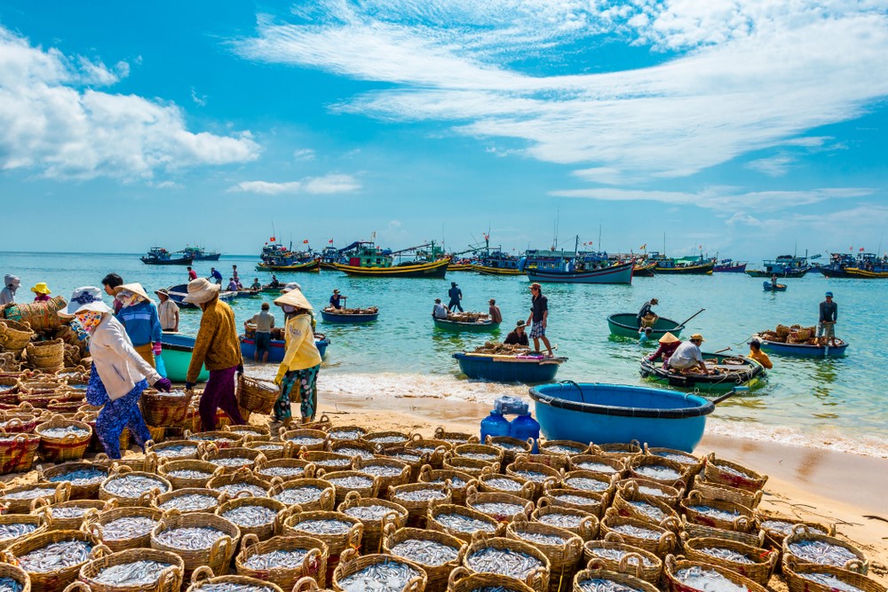 Khám phá du lịch Sầm Sơn 2026: Thiên đường biển xanh, hải sản ngon và kỳ nghỉ đáng nhớ