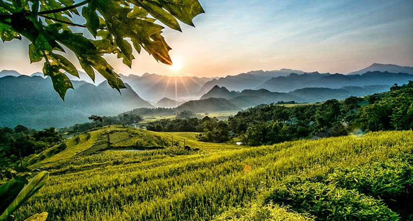 Kinh nghiệm du lịch Thanh Hóa chi tiết nhất cho người lần đầu khám phá xứ Thanh