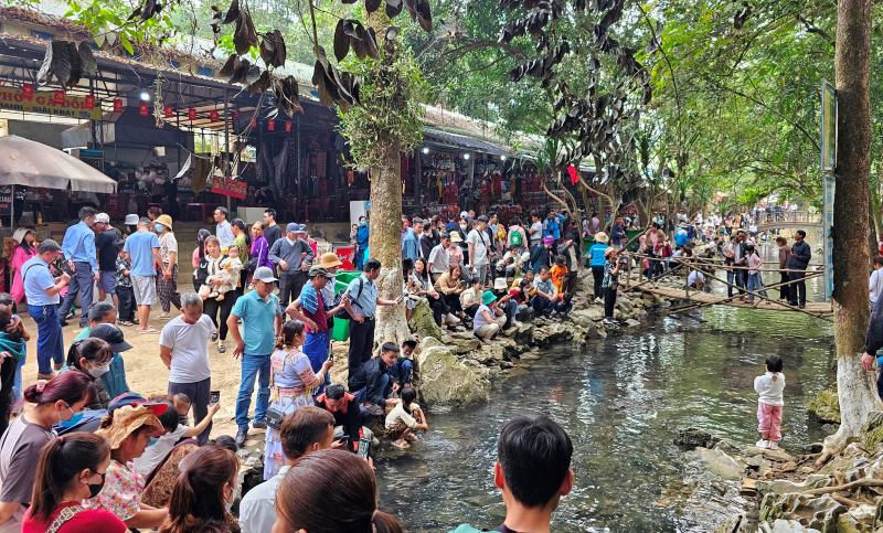 Kinh nghiệm khám phá suối cá thần Cẩm Lương chi tiết nhất cho chuyến đi trọn vẹn