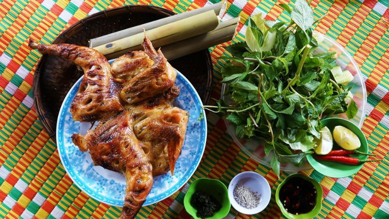 Kinh nghiệm khám phá suối cá thần Cẩm Lương chi tiết nhất cho chuyến đi trọn vẹn
