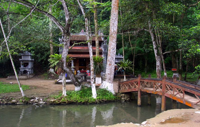 Kinh nghiệm khám phá suối cá thần Cẩm Lương chi tiết nhất cho chuyến đi trọn vẹn