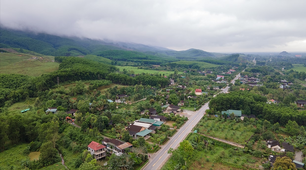 Kinh nghiệm khám phá suối cá thần Cẩm Lương chi tiết nhất cho chuyến đi trọn vẹn