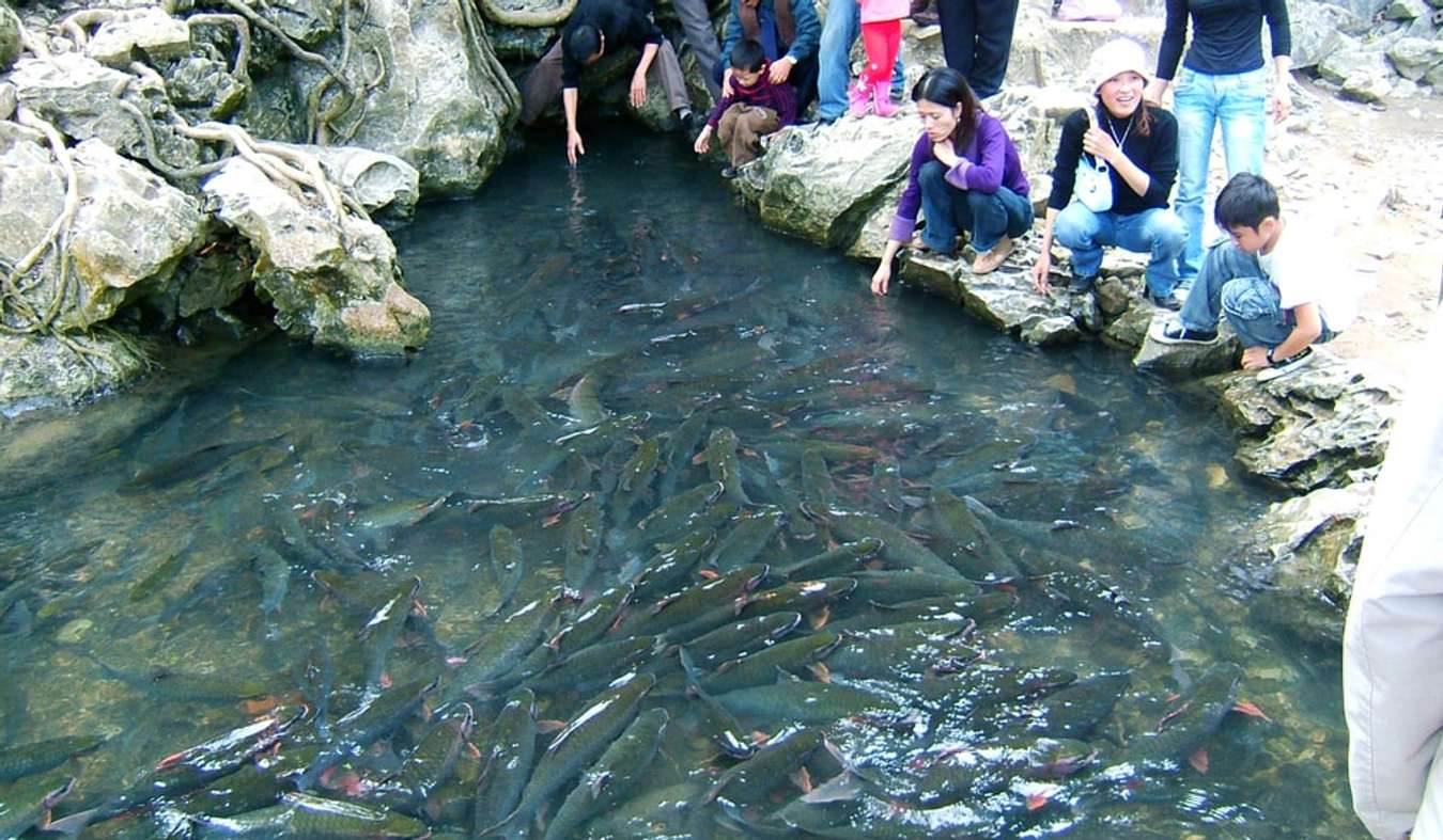 Lễ hội Lam Kinh Thanh Hóa và hành trình khám phá miền đất lịch sử hào hùng