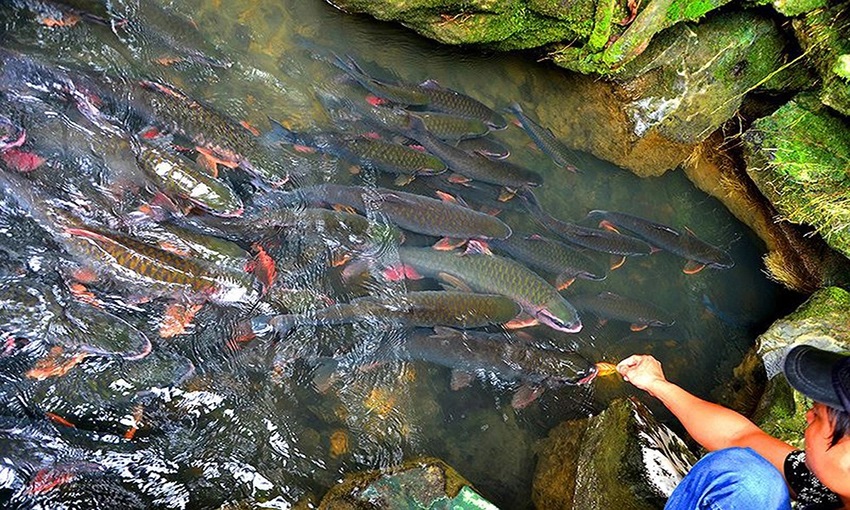 Top 12 Địa điểm check in đẹp ở Thanh Hóa dành cho người mê khám phá và săn ảnh đẹp