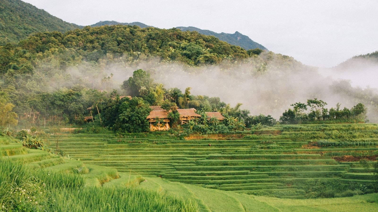 Top 12 Địa điểm check in đẹp ở Thanh Hóa dành cho người mê khám phá và săn ảnh đẹp