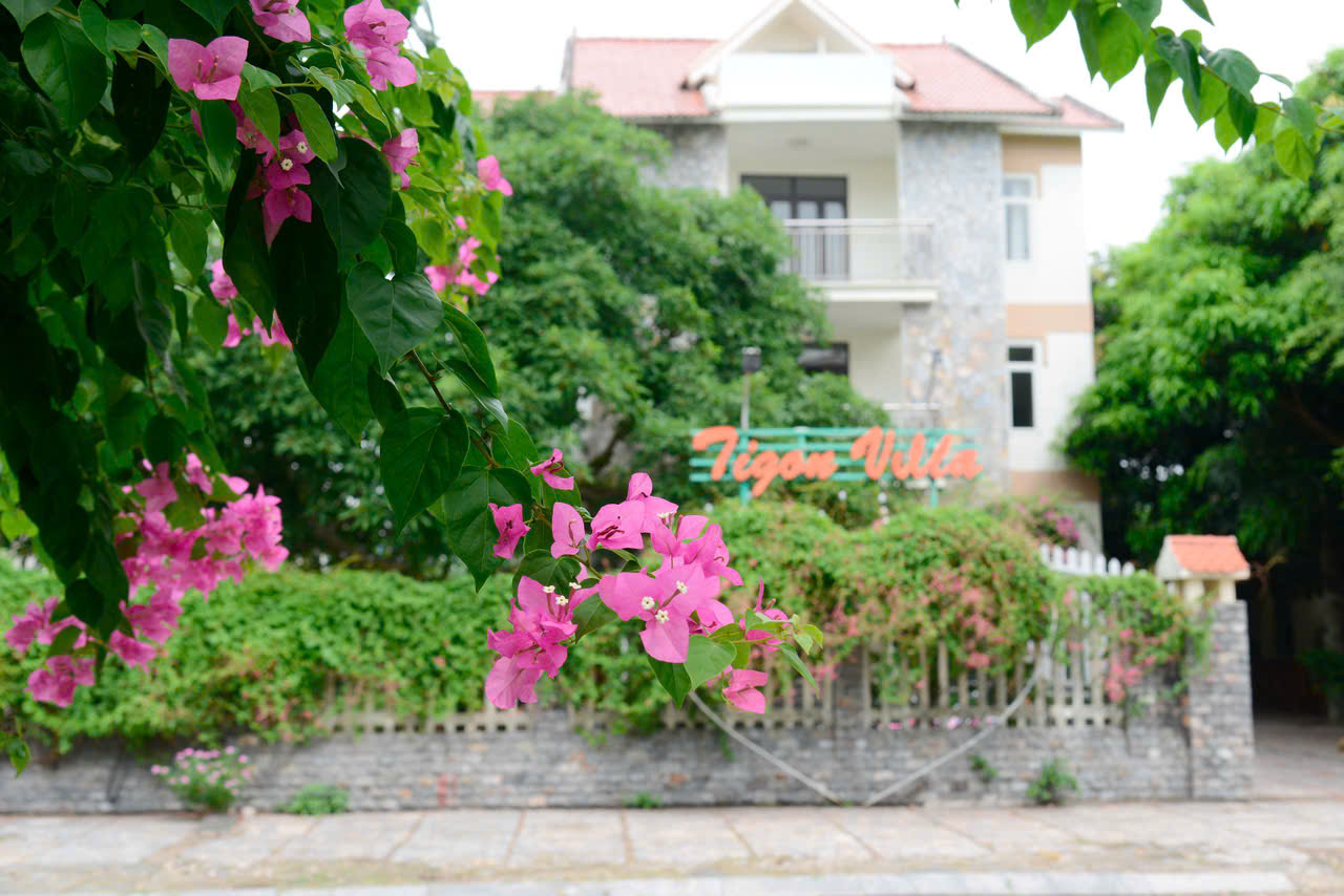 Top 12 Khách sạn gần biển Thanh Hóa view đẹp, tiện nghi và đáng nghỉ dưỡng cho mùa hè