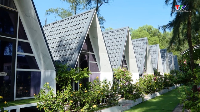 Top 14 homestay ở Hải Hòa view đẹp, đáng cân nhắc cho kỳ nghỉ 2026
