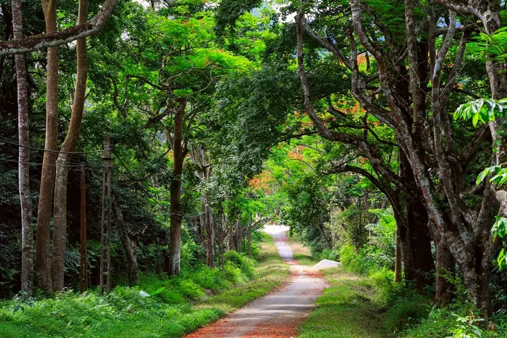 Top 15 Địa điểm du lịch đẹp ở Thanh Hóa khiến du khách mê mẩn khi ghé thăm xứ Thanh